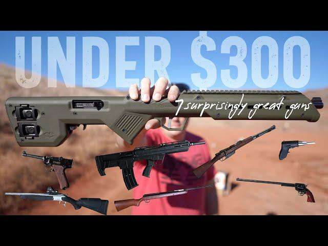 7 Surprisingly Great Guns Under $300