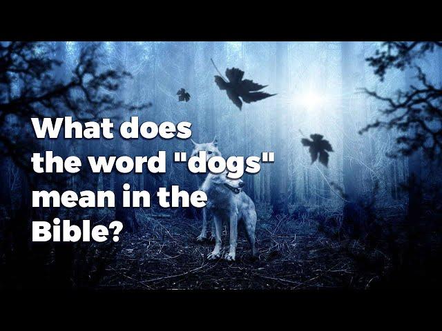 What Does The Word "DOGS" Mean In The Bible?