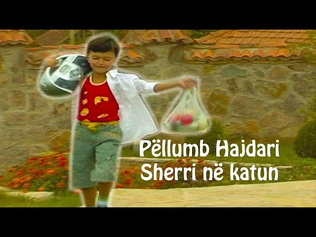 Pellumb Hajdari - Sherri ne katun HD