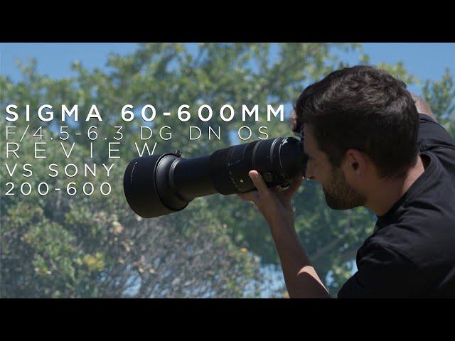 Sigma 60-600mm f/4.5-6.3 Review vs Sony 200-600mm