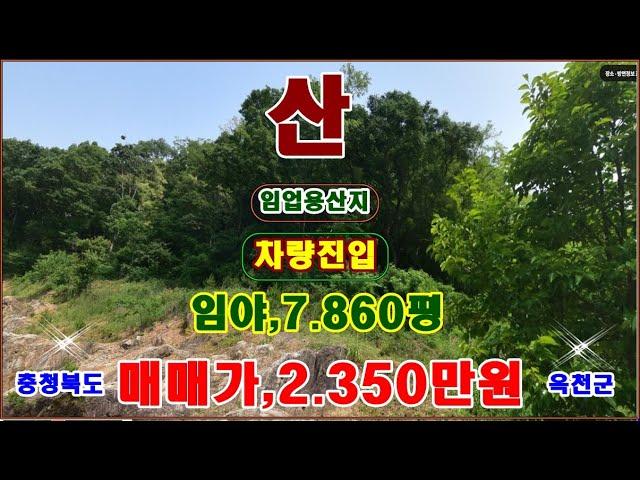 물번.676번) 임야.7.860평 매매가,2.350만원입니다, 농림지역,임업용산지, 전기 앞에 들어와 있고 남향에다 경사도 20~25도로 산림진흥원 다드림제공~차량근접진입 됩니다,