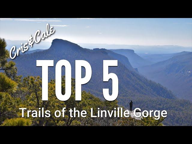 Top 5 Trails of the Linville Gorge | Best Hiking in North Carolina | Pinchin | Hawksbill | Shortoff