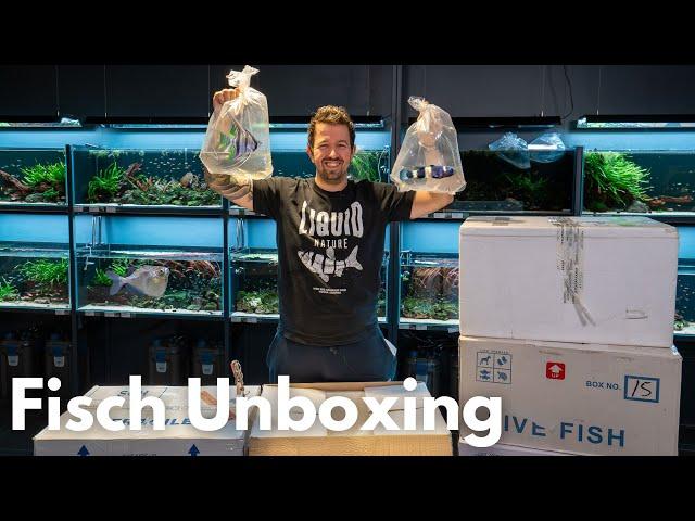 Das erste mal Skalare bei Liquid Nature! Fisch Unboxing