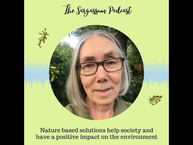 Sargassum Podcast E9: Nature based solutions and social impacts of Sargassum w/ Dr. Debbie Bartlett