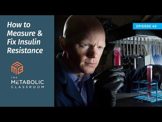 How to Measure and Fix Insulin Resistance with Dr. Ben Bikman