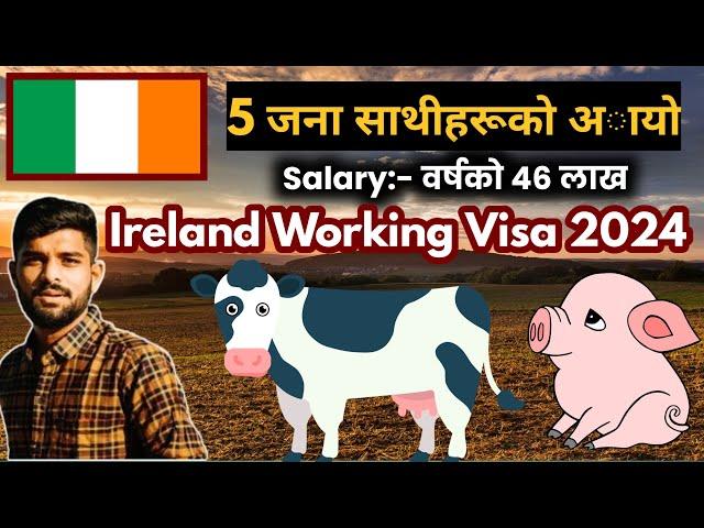 ireland working visa for nepali | how to apply ireland work visa from nepal | ireland kasari jane