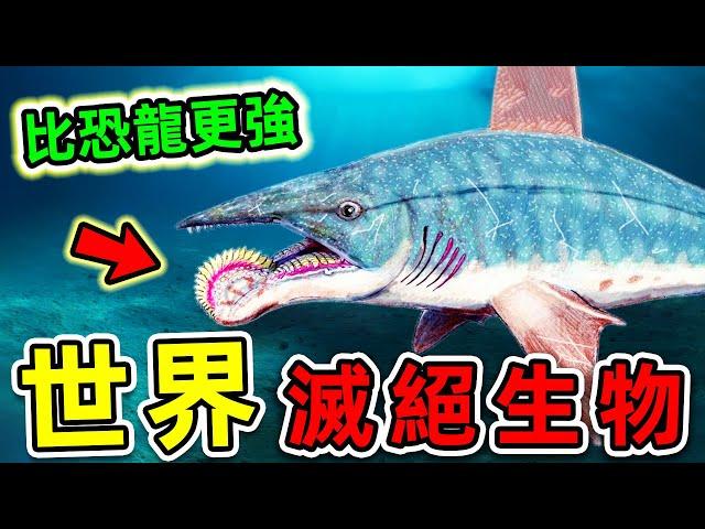 比恐龍更可怕的10種滅絕生物！巨齒鯊只能排第6，第一名堪稱“生物粉碎機”，把鯨魚當食物吃。|#世界之最top #世界之最 #出類拔萃 #腦洞大開 #top10 #滅絕生物