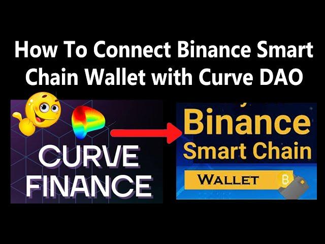 How To Connect Binance Smart Chain Wallet with Curve DAO | Crypto Ustaad
