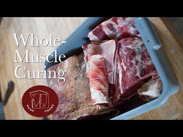 Whole-Muscle Curing