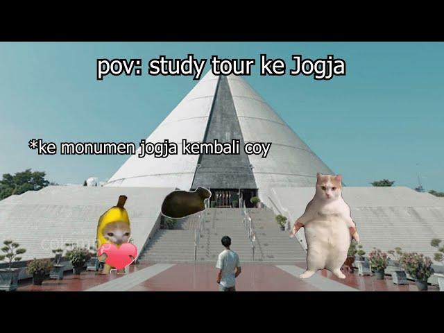 Pov : study tour ke jogja | meme kucing  5