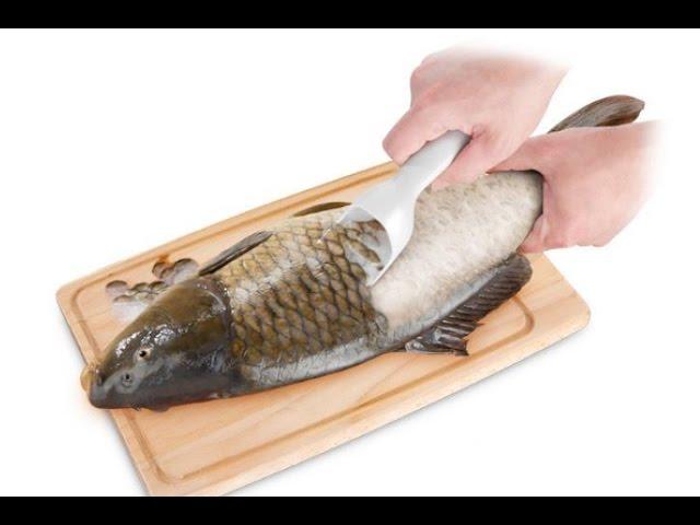 5 Kitchen Gadgets Put to the Test -Best Kitchen Gadgets # 1