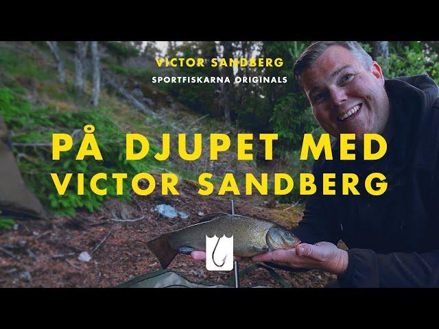 Hur många arter hinner Victor Sandberg fånga under 12 timmar?