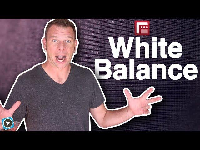 FiLMiC Pro White Balance - Setting White Balance and Color Temperature