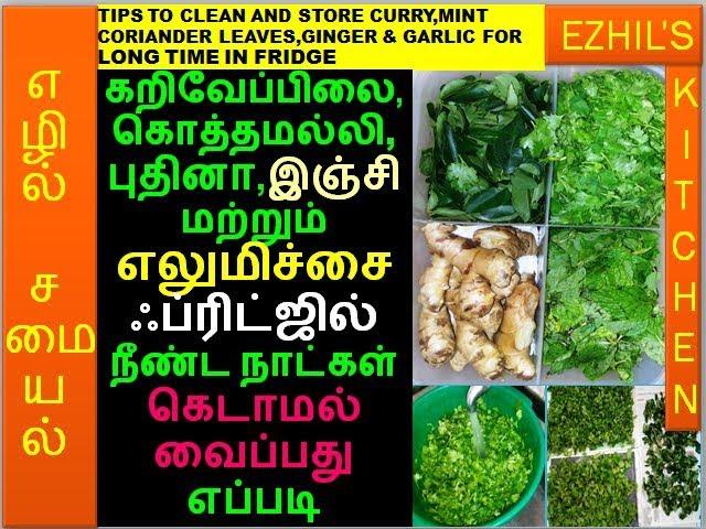TIPS TO CLEAN & STORE CURRY,CORIANDER,MINT LEAVES,GINGER & LEMON FOR LONGTIME IN FRIDGE/ONE BOX IDEA