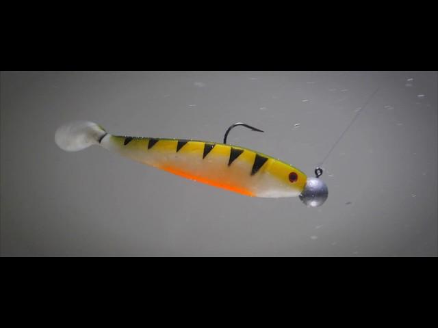 Delalande® Shad GT