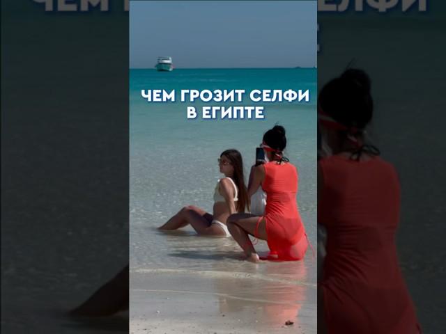 Чем грозит селфи в Египте? Подробнее под видео. #библиоглобус #библиоглобусегипет #travel #египет