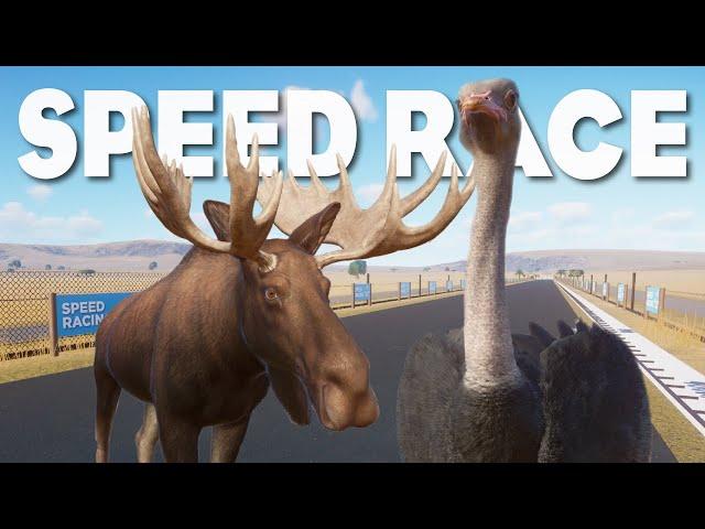 A new Champion?? Moose Vs Ostrich Planet Zoo Speed Race