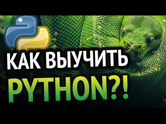 Как выучить Python? Самый аху#### способ!