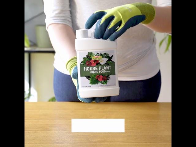 Houseplant Tips: Feeding & Fertilising