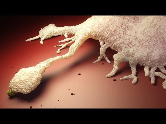 10 фактов об ИММУННОЙ СИСТЕМЕ - Иммунитет, его СТРОЕНИЕ, назначение, КЛЕТКИ и их БОРЬБА с ВИРУСАМИ