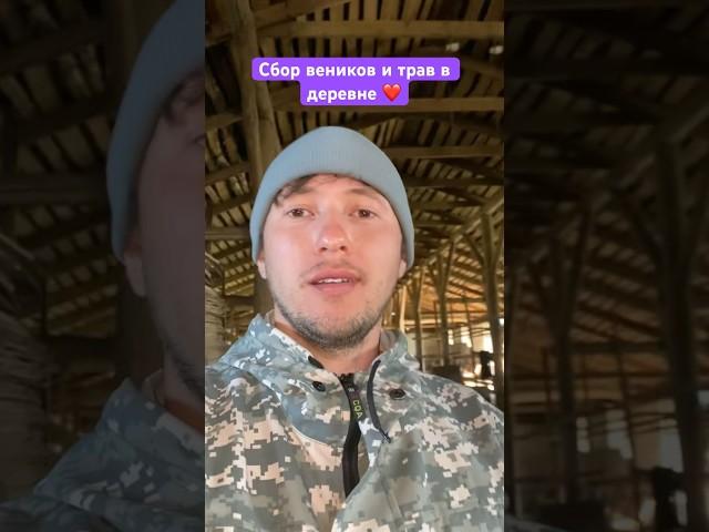 Деревенское хобби, оказалось, приносит миллионные доходы  собирательство в деревне