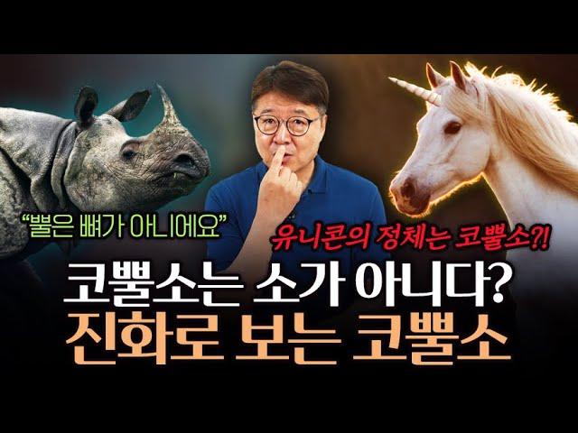코뿔소는 소가 아니다?! 살아있는 유니콘, 코뿔소의 과학