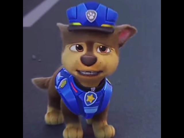 paw patrol the movie chase sad edit