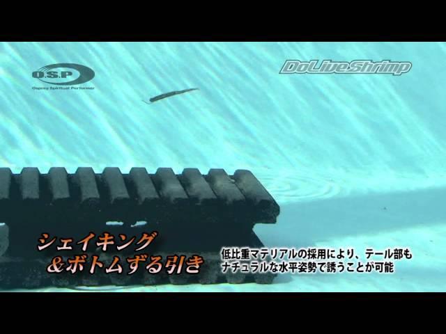 ドライブシュリンプの水中映像〜ダウンショットリグ編〜