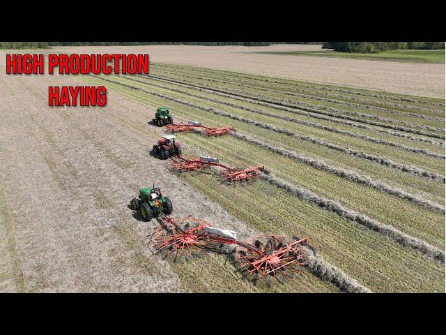 2nd Cut Hay on a HUGE Scale