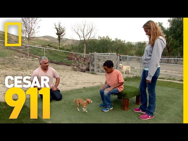 Facing Fears | Cesar 911