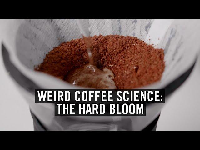 Weird Coffee Science: The Hard Bloom