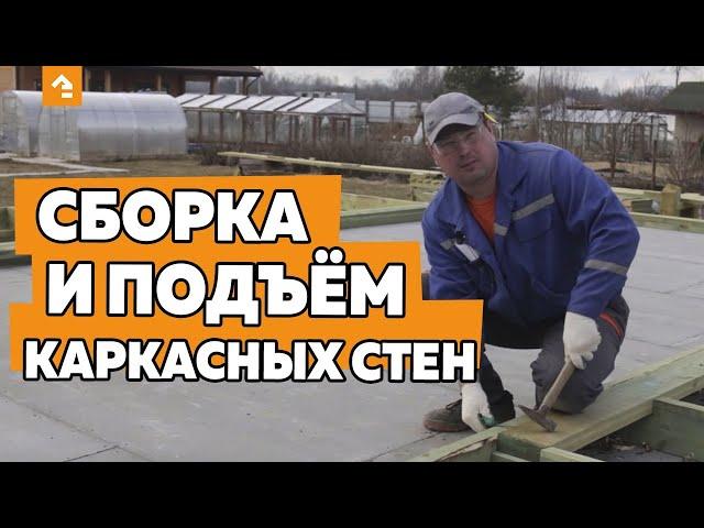 СБОРКА И ПОДЪЕМ КАРКАСНЫХ СТЕН