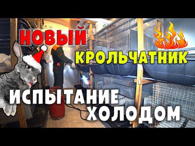 Новый крольчатник / Испытание холодом