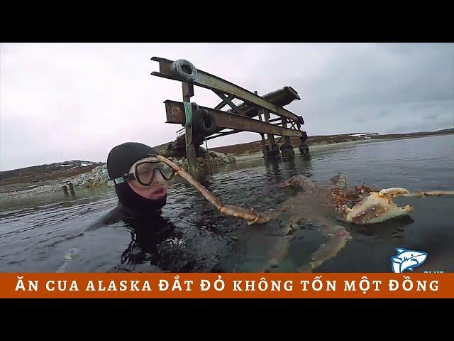 Ăn Cua Alaska đắt đỏ không tốn một đồng, Ở đây thèm là đi bắt