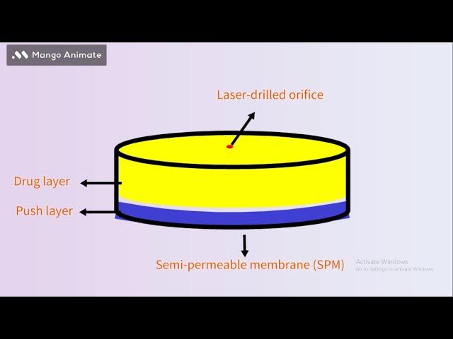 Push-Pull osmotic pump animation