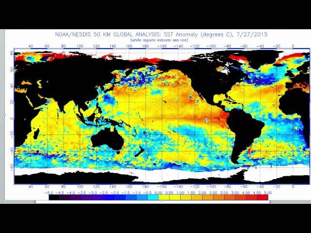 El Niño Update 3