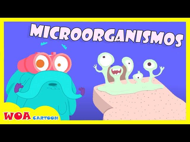 Películas Animadas | : Secretos Sobre Microorganismos | Dibujos Animados