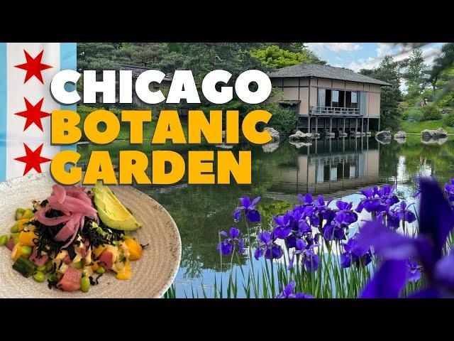 Is the Chicago Botanic Garden worth the splurge? Our Honest Review