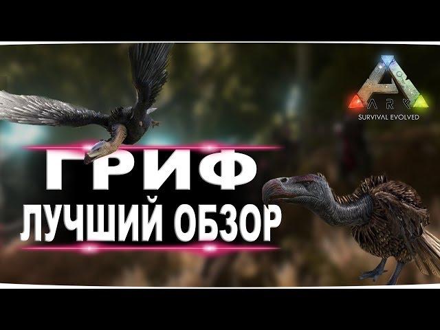 Гриф (Vulture)  в АРК. Лучший обзор: приручение, разведение и способности в ark