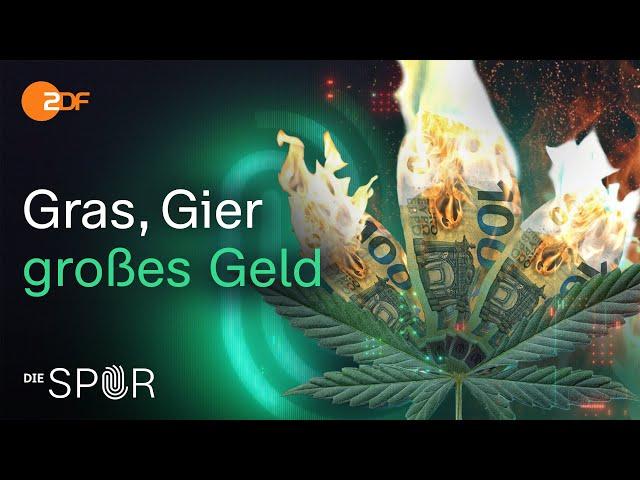 JuicyFields – Der größte Cannabis-Betrug aller Zeiten | Die Spur