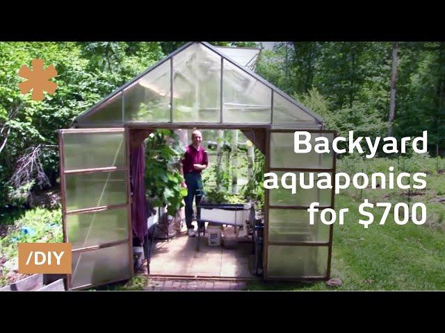 Backyard aquaponics: DIY system to farm fish with vegetables