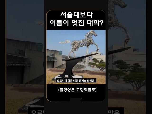 한국에서 학교 이름이 가장 좋은 대학교?