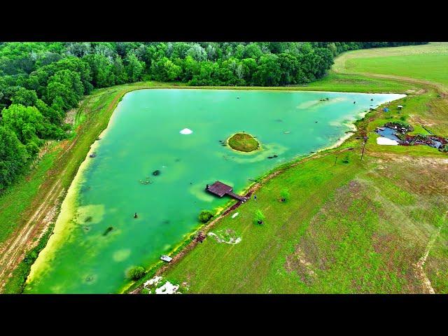 Removing Tiger Bass Out of the 5 Acre Pond (Big Problem)