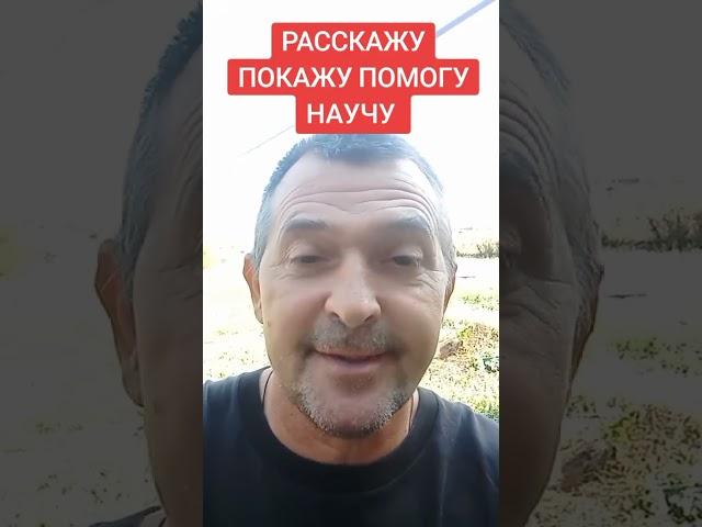 ЗАРАБАТЫВАЙТ Е НА СВОЮ КАРТУ  #деньгивинтернете #бесплатноеобучение #наличка #доллор
