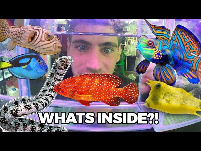 $11,000 MYSTERY FISH!! - Inside Thailand's Largest Aquarium Fish Market... (Part 2)