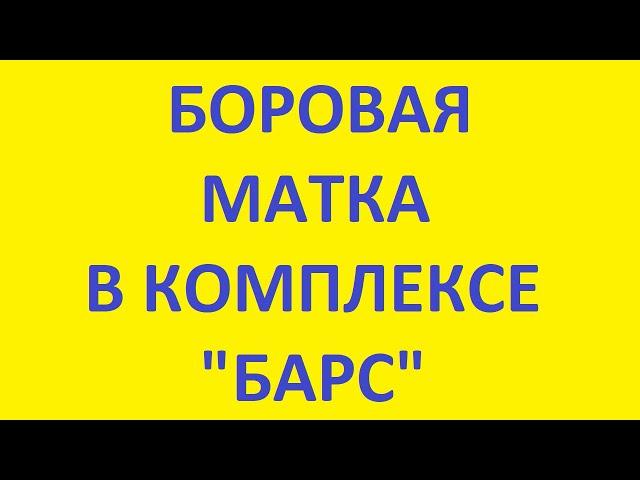 БОРОВАЯ МАТКА | ОРТИЛИЯ | КОМПЛЕКС БАРС