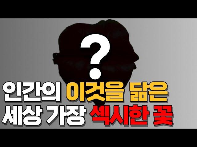 이건 뭐지..? 인간의 이것을 닮은 세상에서 가장 섹시한 입술꽃..?