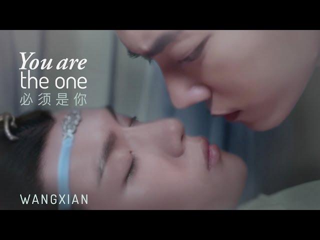 WangXian | You are the One (The Untamed 陈情令 BL FMV)