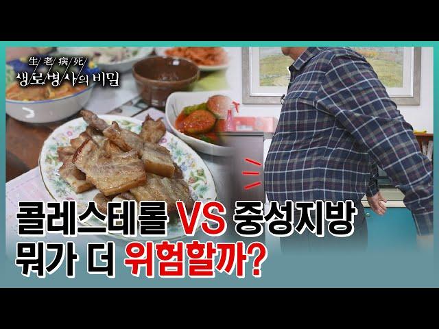 콜레스테롤만 신경 쓰다 중성지방에 당할 수 있다? 중성지방이 우리 몸에 미치는 영향 (KBS 20230329 방송)