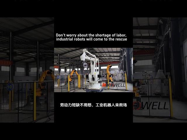 Don't worry about the shortage of labor, industrial robots will come to the rescue #palletizing